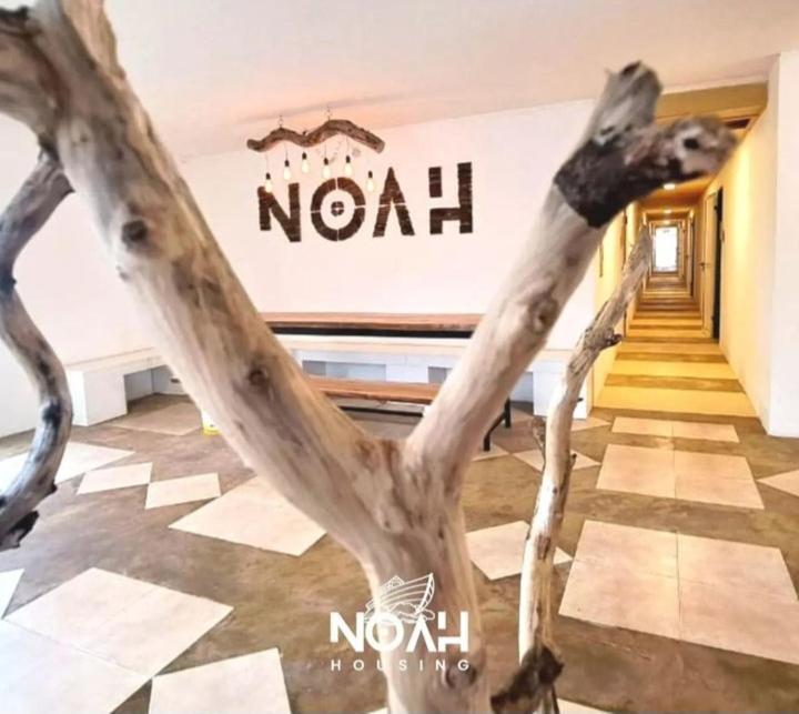 Albergue Noah Housing Santo Tomé Exterior foto